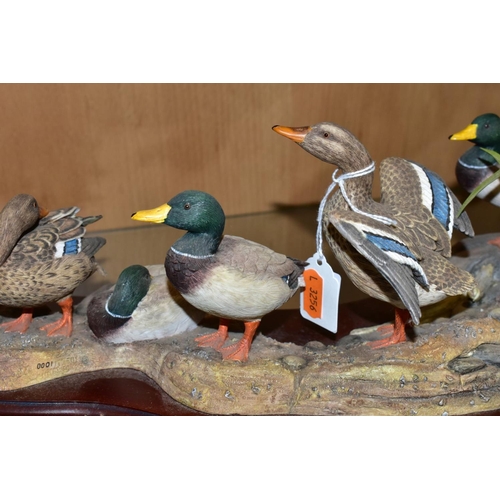 409 - A LIMITED EDITION BORDER FINE ARTS SCULPTURE, 'Sunny Afternoon' (ducks) A1872, modelled by Richard R... 