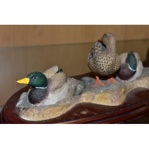 409 - A LIMITED EDITION BORDER FINE ARTS SCULPTURE, 'Sunny Afternoon' (ducks) A1872, modelled by Richard R... 