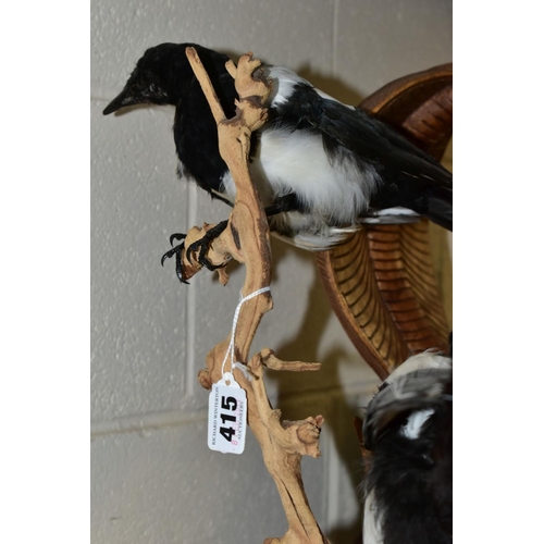 415 - TAXIDERMY - Two magpies mounted perching in branches and on a circular base, height 39.5cm, together... 