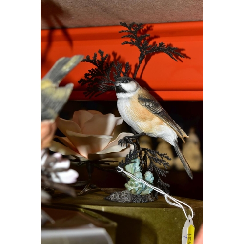 431 - TWO BOXED ROYAL WORCESTER BRITISH BIRDS ON  BRONZE FIGURES OF 'CHAFFINCH' AND 'MARSH TIT', together ... 