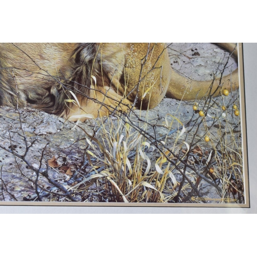 510 - ASSORTED FRAMED PRINTS, to include Karl Brenders limited edition print of a Lion 'Kalahari', signed ... 