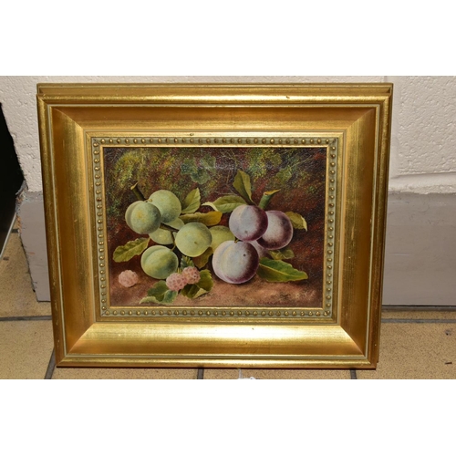 601 - STILL LIFE STUDY OF PLUMS AND RASPBERRIES, bears signature Oliver Clare bottom right, oil on canvas,... 