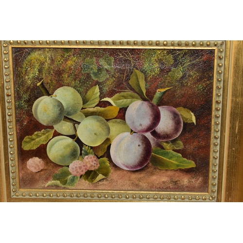 601 - STILL LIFE STUDY OF PLUMS AND RASPBERRIES, bears signature Oliver Clare bottom right, oil on canvas,... 