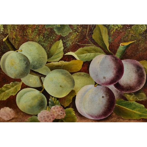 601 - STILL LIFE STUDY OF PLUMS AND RASPBERRIES, bears signature Oliver Clare bottom right, oil on canvas,... 