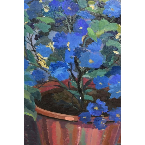 614 - CHARLES HOLMES 'CINERARIA', a still life study of a blue flowering plant in a pot, signed bottom lef... 