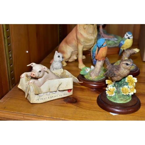 631 - A GROUP OF BORDER FINE ARTS SCULPTURES, comprising Birds by Russell Willis, 'Farmyard Duck' A0126, '... 