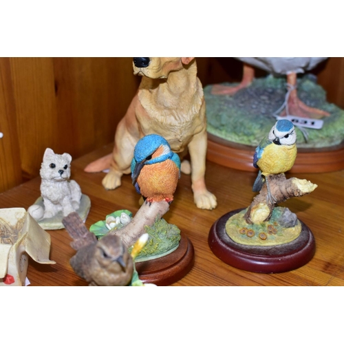 631 - A GROUP OF BORDER FINE ARTS SCULPTURES, comprising Birds by Russell Willis, 'Farmyard Duck' A0126, '... 