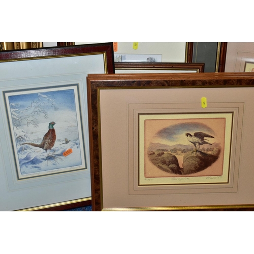 665 - PAINTINGS AND PRINTS, to include six Philip Snow limited edition prints of Saker Falcons and Peregri... 