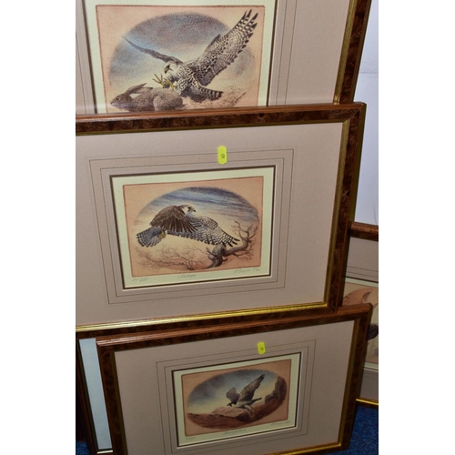 665 - PAINTINGS AND PRINTS, to include six Philip Snow limited edition prints of Saker Falcons and Peregri... 