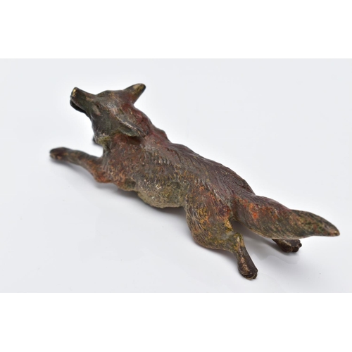 12 - A COLD PAINTED BRONZE FOX, in a running position holding something in its mouth, approximate length ... 