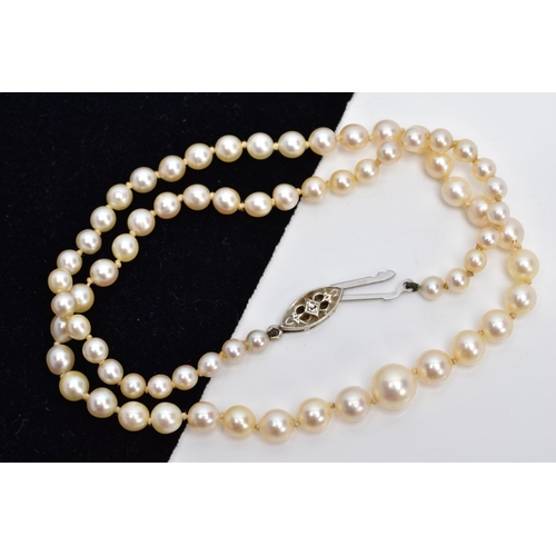 29 - A CULTURED PEARL STRAND NECKLET, designed with a row of graduated cultured pearls, measuring approxi... 