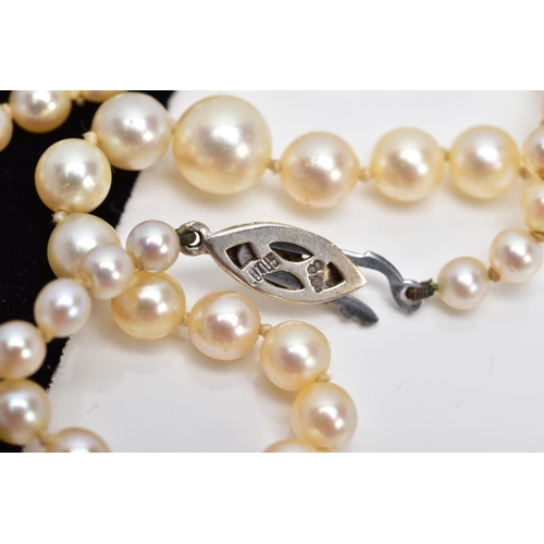 29 - A CULTURED PEARL STRAND NECKLET, designed with a row of graduated cultured pearls, measuring approxi... 