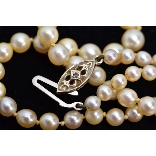 29 - A CULTURED PEARL STRAND NECKLET, designed with a row of graduated cultured pearls, measuring approxi... 