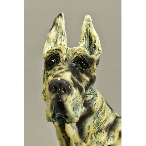 338 - APRIL SHEPHERD (BRITISH CONTEMPORARY) 'ON GUARD' a limited edition sculpture of a Great Dane dog 52/... 