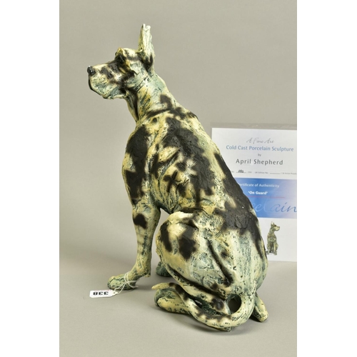 338 - APRIL SHEPHERD (BRITISH CONTEMPORARY) 'ON GUARD' a limited edition sculpture of a Great Dane dog 52/... 