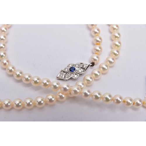 210 - A MODERN SINGLE ROW OF CULTURED PEARLS STRUNG TO AN 18CT WHITE GOLD DIAMOND AND SAPPHIRE CLASP, Akoy... 