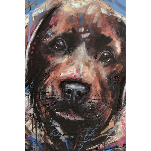 305 - SAMANTHA ELLIS (BRITISH 1992) 'DIRTY DOG' a limited edition print of a puppy 43/295, signed bottom l... 