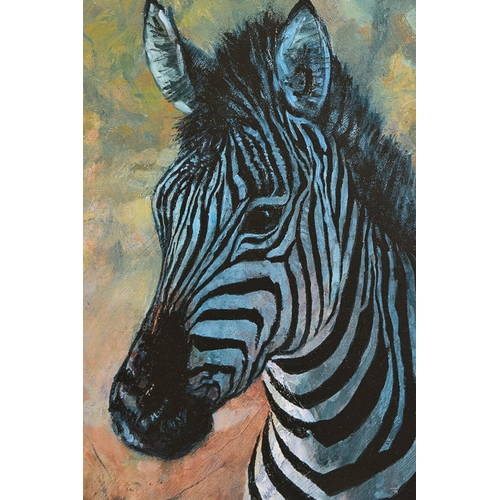 306 - ROLF HARRIS (AUSTRALIAN 1930) 'YOUNG ZEBRA' a limited edition print 49/195, signed top right, no cer... 