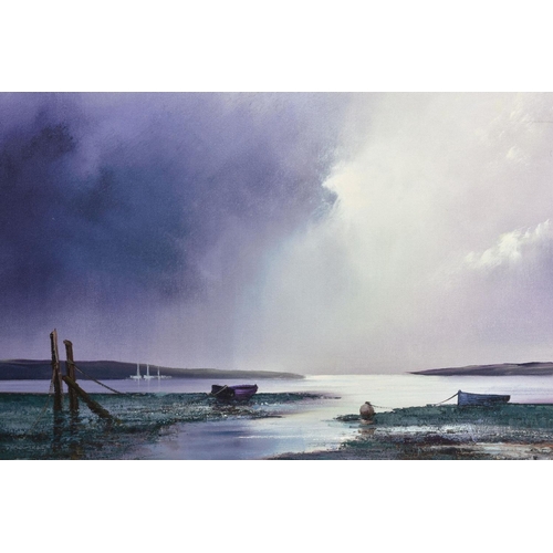 315 - BARRY HILTON (BRITISH 1941) 'VIOLET DAWN' a limited edition print depicting a coastal landscape 36/1... 