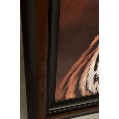 320 - JONATHAN TRUSS (BRITISH 1960) 'BIG SHOTS' a limited edition print of a pair of Tigers 19/195, signed... 