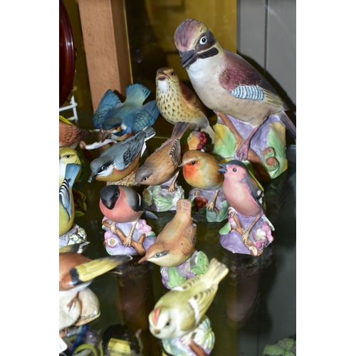 375 - SIXTEEN ROYAL WORCESTER MATT GLAZED BIRD FIGURES, comprising 3248 Jay, 3234 Thrush, 3235 Kingfisher,... 