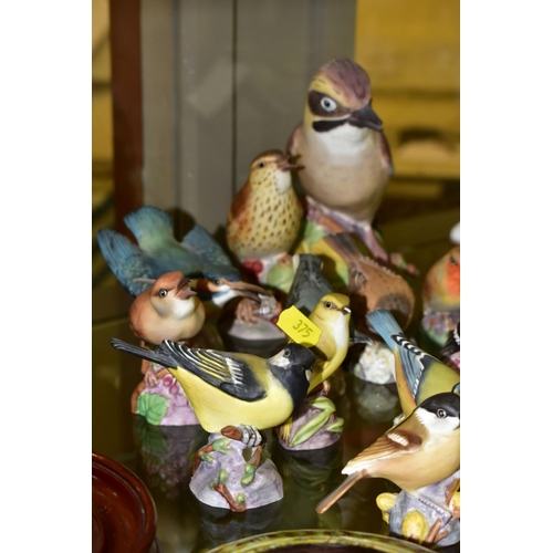 375 - SIXTEEN ROYAL WORCESTER MATT GLAZED BIRD FIGURES, comprising 3248 Jay, 3234 Thrush, 3235 Kingfisher,... 