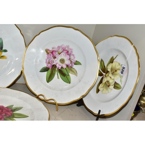 520 - A SET OF FIVE SPODE RHODODENDRONS PLATES, titled 'Dalhousie', ' Fortune', 'Gwylt King', 'Hodgsoni' a... 