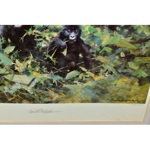 530 - DAVID SHEPHERD (1931-2017) 'THE MOUNTAIN GORILLAS OF RWANDA' a limited edition print 618/1500, signe... 