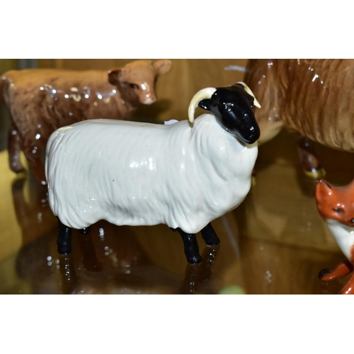 549 - TWO BESWICK HIGHLAND CATTLE, a Cow No 1740 and a Calf No 1827D, both gloss, together with a Black Fa... 