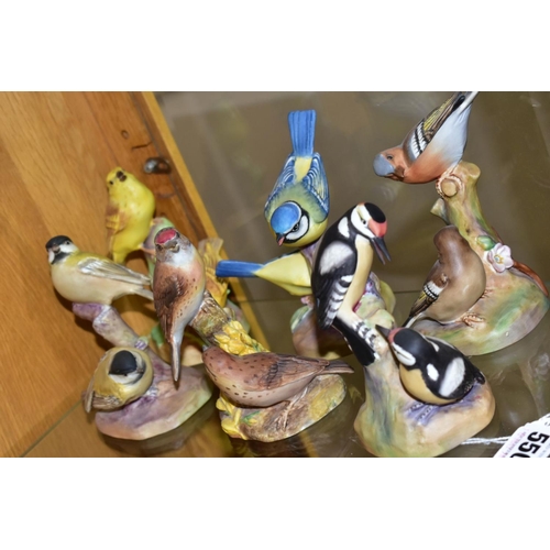 550 - SIX ROYAL WORCESTER BIRD FIGURE GROUPS, comprising Pied Woodpeckers RW3363, Chaffinches RW3364, Linn... 