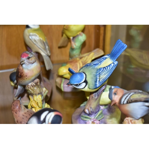 550 - SIX ROYAL WORCESTER BIRD FIGURE GROUPS, comprising Pied Woodpeckers RW3363, Chaffinches RW3364, Linn... 