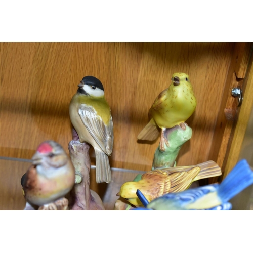 550 - SIX ROYAL WORCESTER BIRD FIGURE GROUPS, comprising Pied Woodpeckers RW3363, Chaffinches RW3364, Linn... 