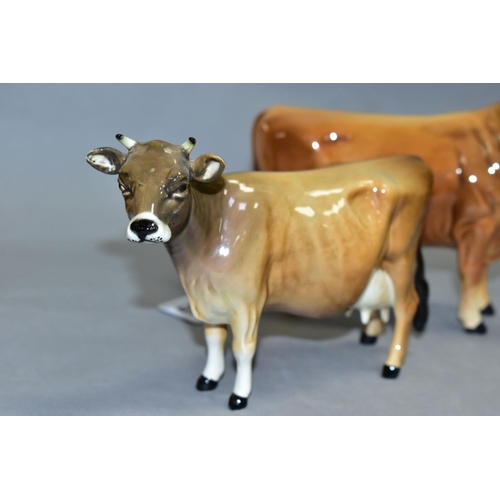 551 - TWO BESWICK JERSEY CATTLE, Bull Ch.'Dunsley Coy Boy' No 1422 and Cow Ch 'Newton Tinkle' No 1345 (2) ... 