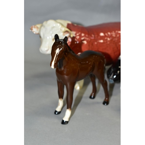 554 - FIVE BESWICK/ROYAL DOULTON ANIMALS, Highland Calf No 1827D, Hereford Bull No 1363A (chipped horn and... 