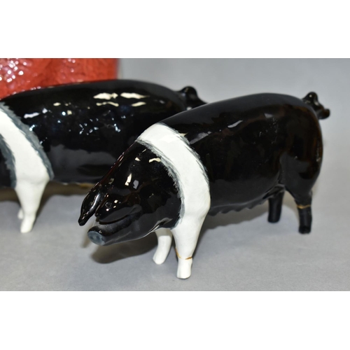 554 - FIVE BESWICK/ROYAL DOULTON ANIMALS, Highland Calf No 1827D, Hereford Bull No 1363A (chipped horn and... 