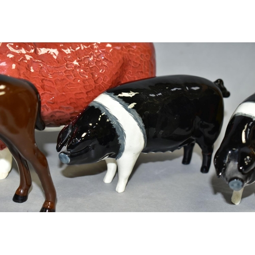 554 - FIVE BESWICK/ROYAL DOULTON ANIMALS, Highland Calf No 1827D, Hereford Bull No 1363A (chipped horn and... 