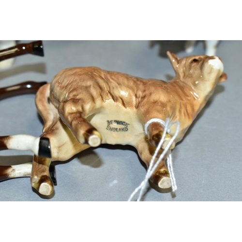 554 - FIVE BESWICK/ROYAL DOULTON ANIMALS, Highland Calf No 1827D, Hereford Bull No 1363A (chipped horn and... 