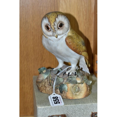 558 - A BOXED ROYAL CROWN DERBY MODEL OF AN OWL, naturalistically modelled and painted, printed backstamp,... 