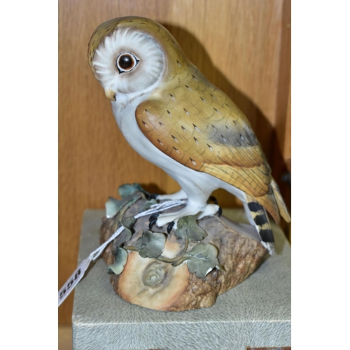 558 - A BOXED ROYAL CROWN DERBY MODEL OF AN OWL, naturalistically modelled and painted, printed backstamp,... 