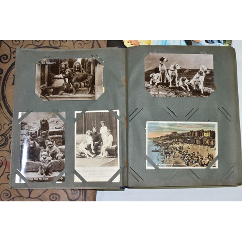 629 - EPHEMERA, once box containing three Edwardian Postcard Albums (approximately 325 postcards), to incl... 