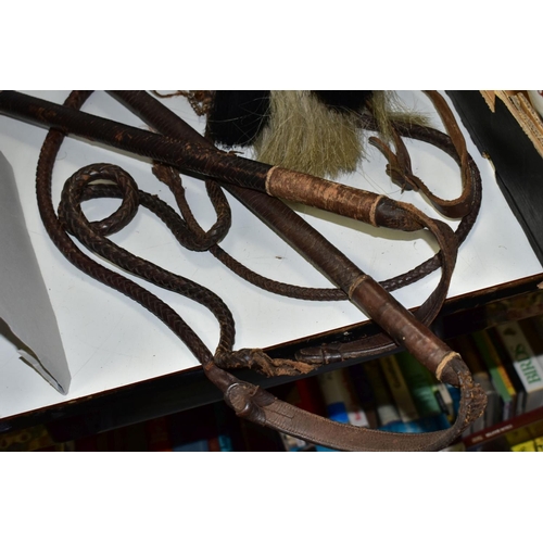 707 - TWO LEATHER WHIPS, bone handles, metal mounts one with engraved coronet, worn condition, with a semi... 