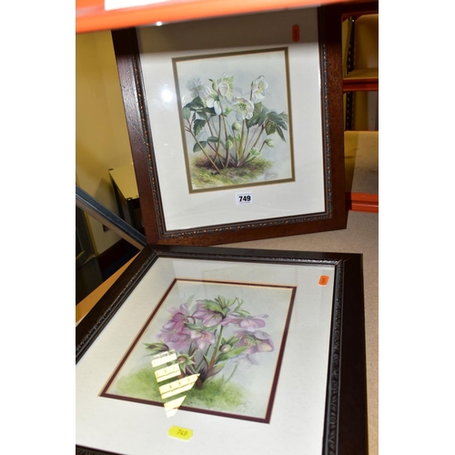 749 - JOY CODD (BRITISH CONTEMPORARY), a pair of watercolours depicting wild flowers, signed bottom right,... 