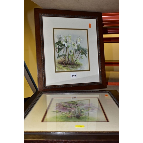 749 - JOY CODD (BRITISH CONTEMPORARY), a pair of watercolours depicting wild flowers, signed bottom right,... 