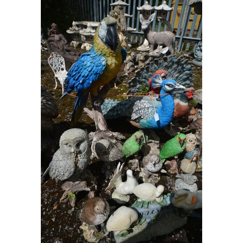 918 - A LARGE COLLECTION OF PLASTIC GARDEN ORNAMENTS OF VARIOUS BIRDS, to include parrots, peacock, owls, ... 