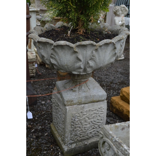 966 - A PAIR OF COMPOSITE ACANTHUS LEAF GARDEN URNS, containing a arborvitae plant, on a separate square p... 