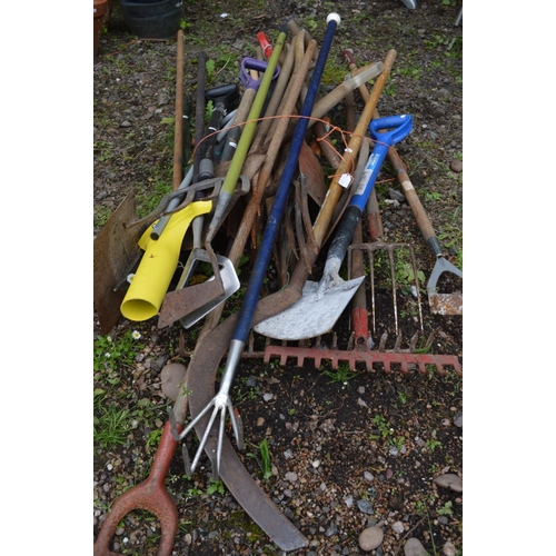 990 - A LARGE COLLECTION OF GARDEN HAND TOOLS, to include forks, spades, rakes, etc