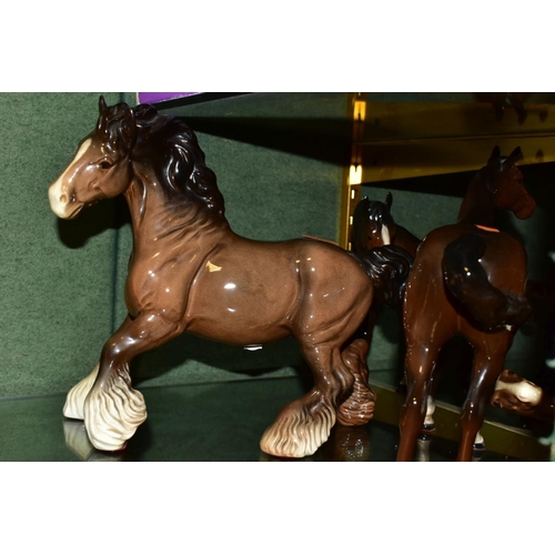 400 - SEVEN BESWICK BROWN HORSES/FOAL, comprising Bois Roussel Racehorse No 701, 2nd version (leg loose an... 