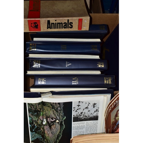 429 - THREE BOXES OF BIRD AND ANIMAL RELATED MAGAZINES, some in binders, titles comprise 'Bird Land' appro... 