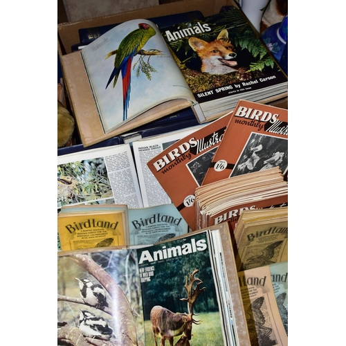 429 - THREE BOXES OF BIRD AND ANIMAL RELATED MAGAZINES, some in binders, titles comprise 'Bird Land' appro... 