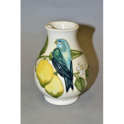 483 - A SMALL MOORCROFT POTTERY VASE, bird and lemon tree pattern, Sally Tuffin design, impressed and pain... 